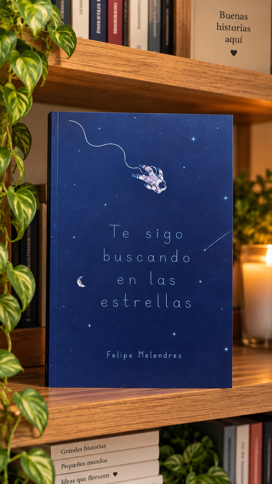 Te sigo buscando en las estrellas – Felipe Melendres